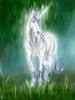 white_unicorn