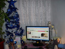 Photo 011