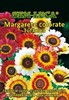 Margarete colorate