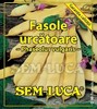 Fasole urcatoare - Marveille de Venice