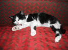 poze 927
