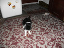 poze 942