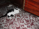 poze 945