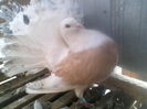 P05-01-12_08.56[1]