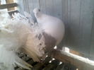 P05-01-12_08.57[1]