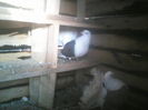 P05-01-12_08.57[2]