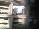 P05-01-12_08.58[1]