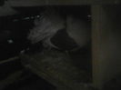 P05-01-12_08.58[6]