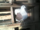 P05-01-12_08.58[2]