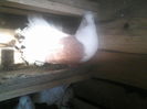 P05-01-12_08.58[4]