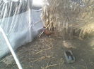 P05-01-12_09.02[3]