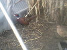 P05-01-12_09.02[4]