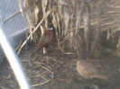 P05-01-12_09.02[5]