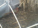 P05-01-12_09.03[1]