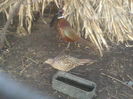 P05-01-12_10.10[2]