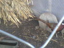 P05-01-12_10.10[3]