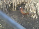 P05-01-12_10.10[6]