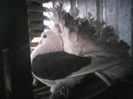 P06-01-12_11.10
