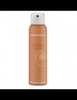Instant Bronzer Spray