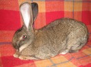 Picture 128