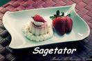 Sagetator