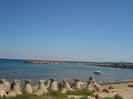 LA MANGALIA!