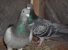 DSC04634