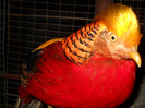 DSCN1904