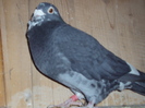 DSC04552