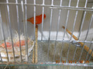DSCN0979
