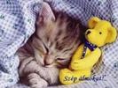 images (48)