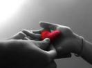images (61)