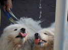 DSCN0038