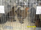 SAM_0183