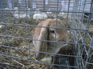 DSCF1186