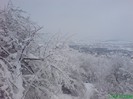 DSC03493