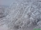DSC03494