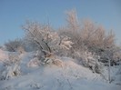 dec 2008 058