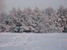 dec 2008 066