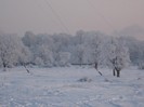 dec 2008 068