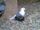 Imag018