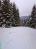 DSC01170-1