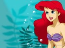 Disney-Princess-disney-princess-14685930-1024-768