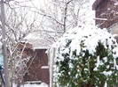 100_3757 8 ianuarie