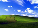 apple-inc-wallpaper-apple-logo-on-windows-xp_1024x768_92980