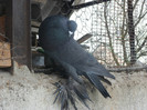 SAM_4065