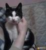 images (24)