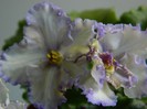 DSCN6389
