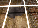 DSCN0251