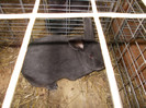 DSCN0252